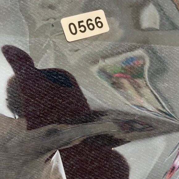 VTG Sasson Jeans Womens 8 High Waisted Mom Frayed Hem Boho Festival 70s - Picture 9 of 9